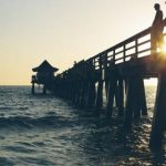 磁力链接与种子下载:全面解析两者的优缺点与使用技巧 rxxb582y70