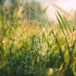 社团学姐110话:青春岁月中的成长与启示 t7txq4iw